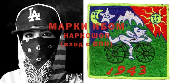 шишки Алзамай