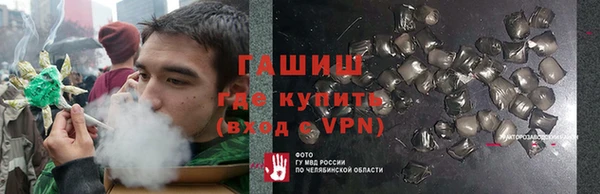 шишки Алзамай