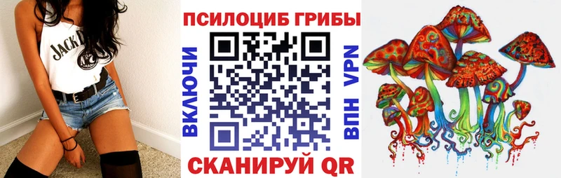 hydra онион  Сунжа  Галлюциногенные грибы Cubensis  купить наркоту 